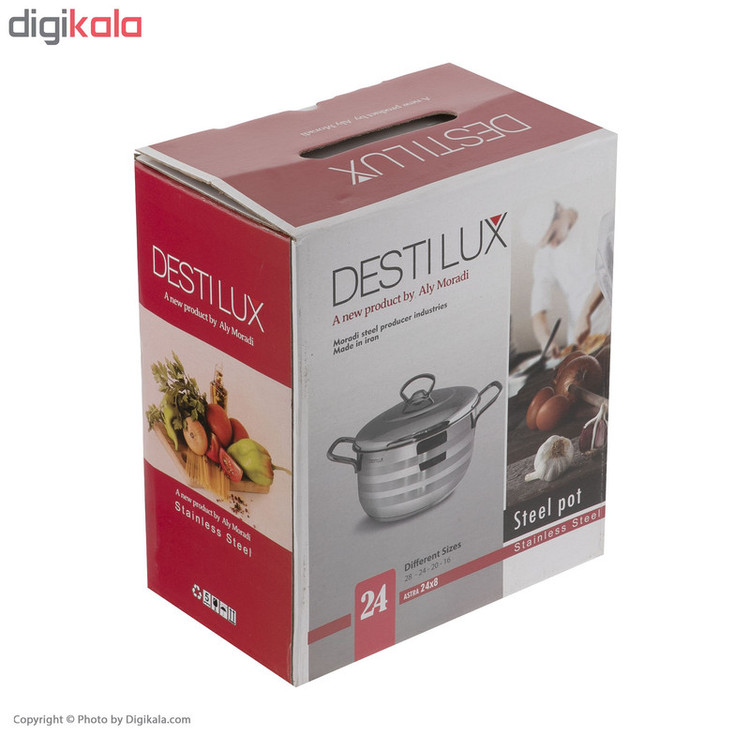 قابلمه استیل سایز 24 دستی لوکس Destilux